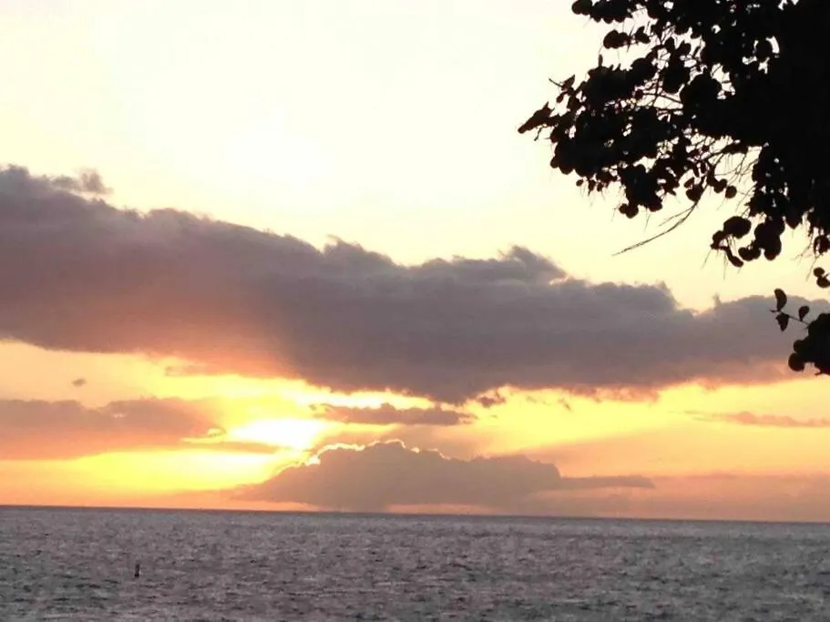 Апартаменты Unrivaled S Kihei Maui Location! Walk To It All!